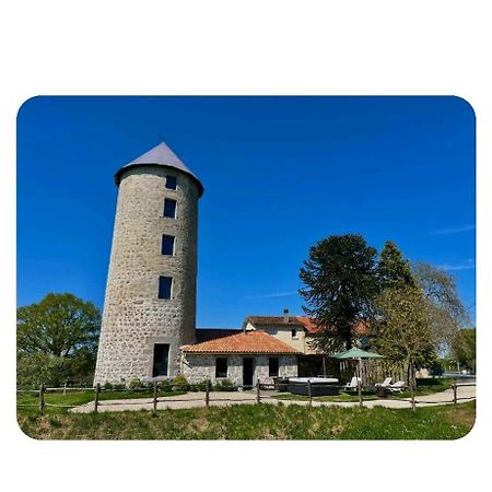 Villa Loue Ancien Moulin A Vent Avec Piscine Et Jacuzzi Neuvy-Bouin Esterno foto